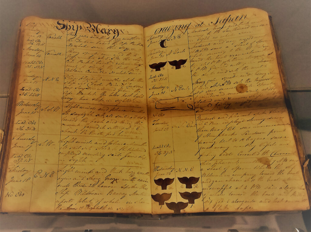 Archivistas de profesión