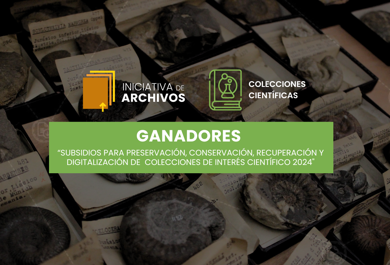 Portadas para web