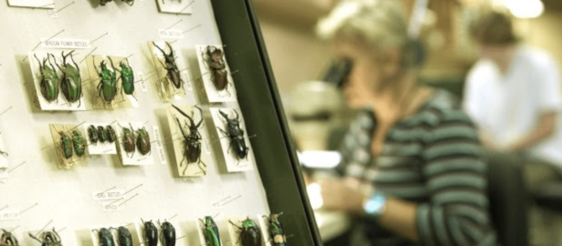 Captura de Pantalla 2021-11-22 a la(s) 13.01.51