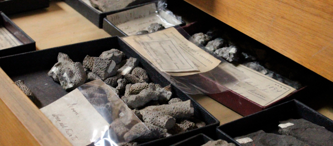 Portada web_ Preservación, recuperación y digitalización de colecciones de interés científico de Argentina